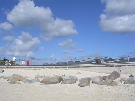 Waiting by the fence