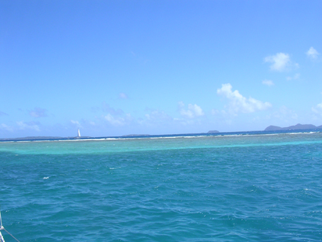 Marina Cay reef