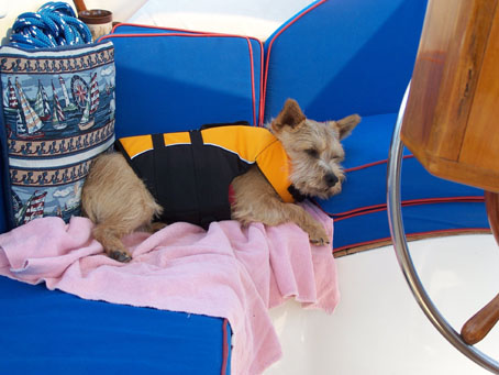 Sailor